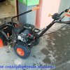 Зима 2019